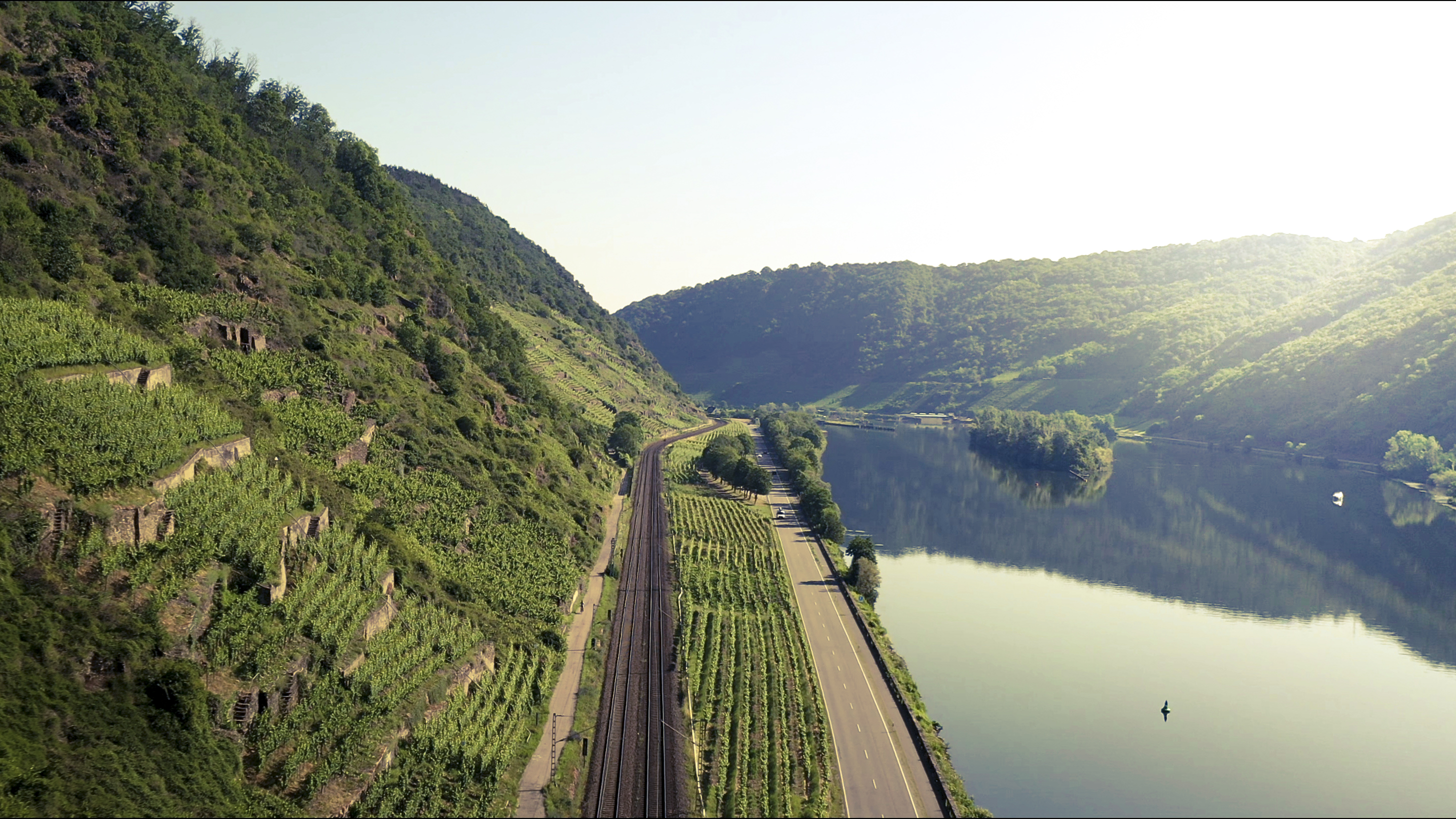 Weinberge