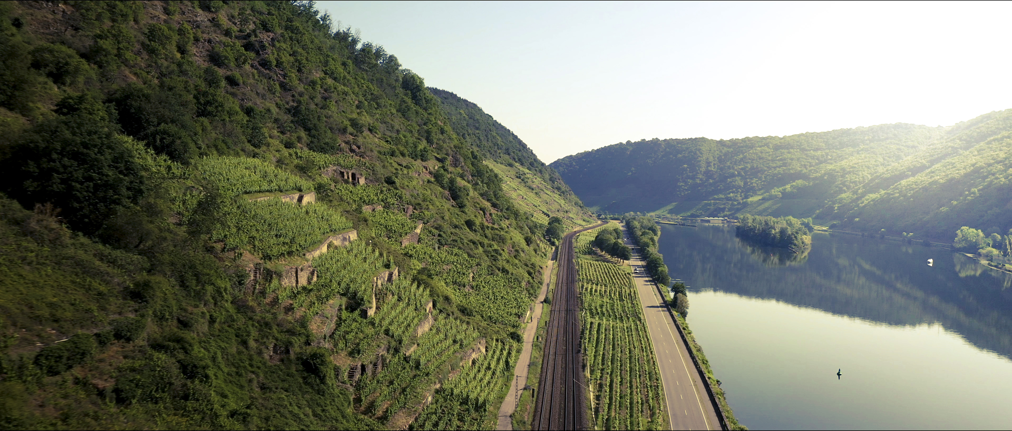 Weinberge