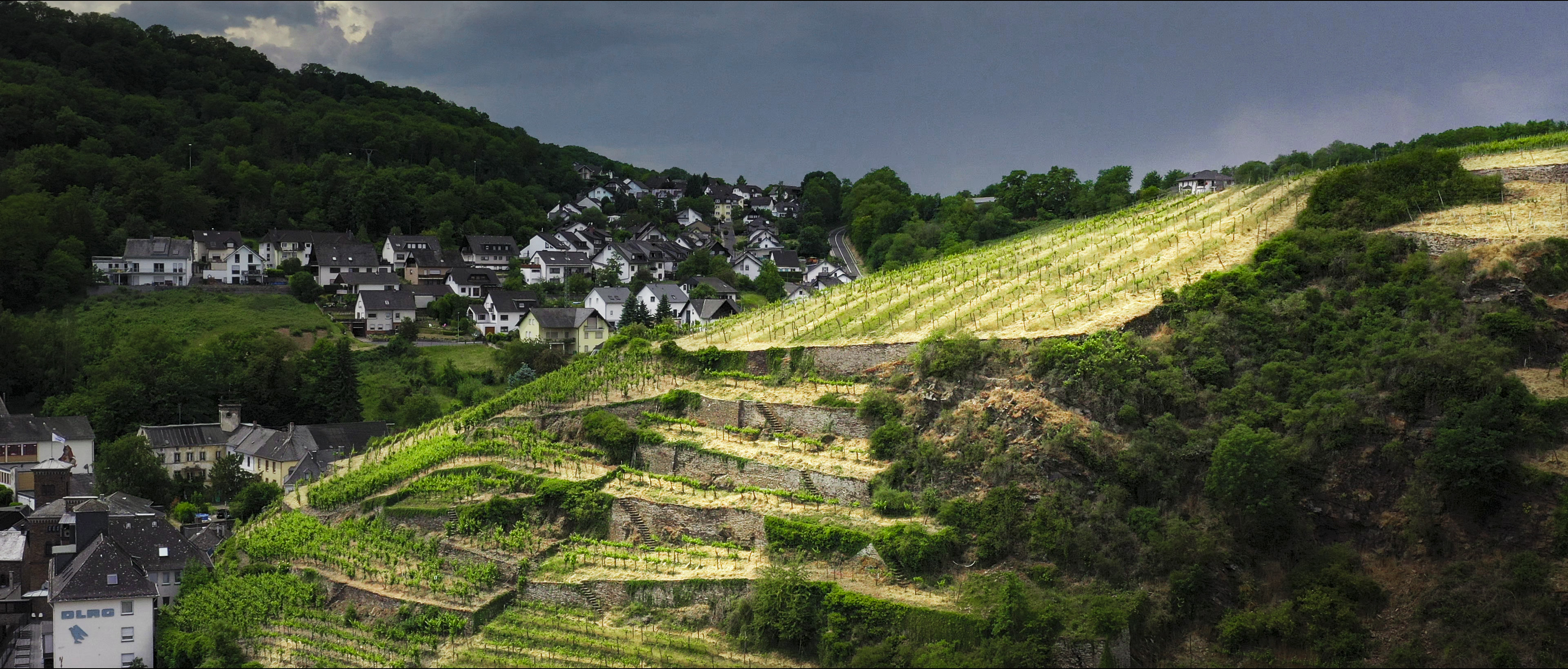 Weinberge